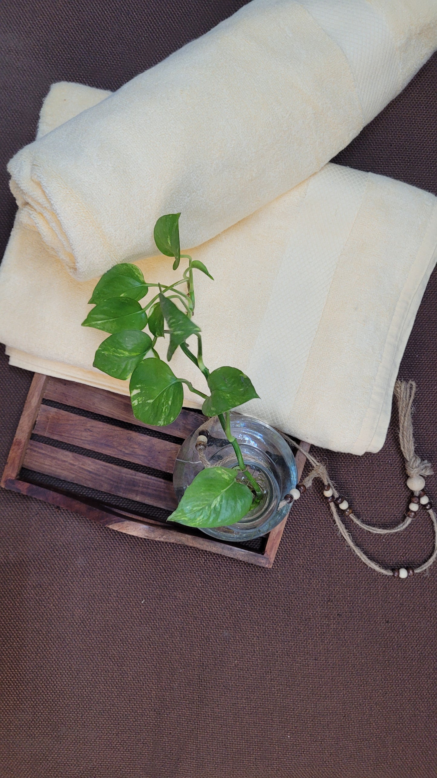 Creamy Dreamy Bamboo Towels